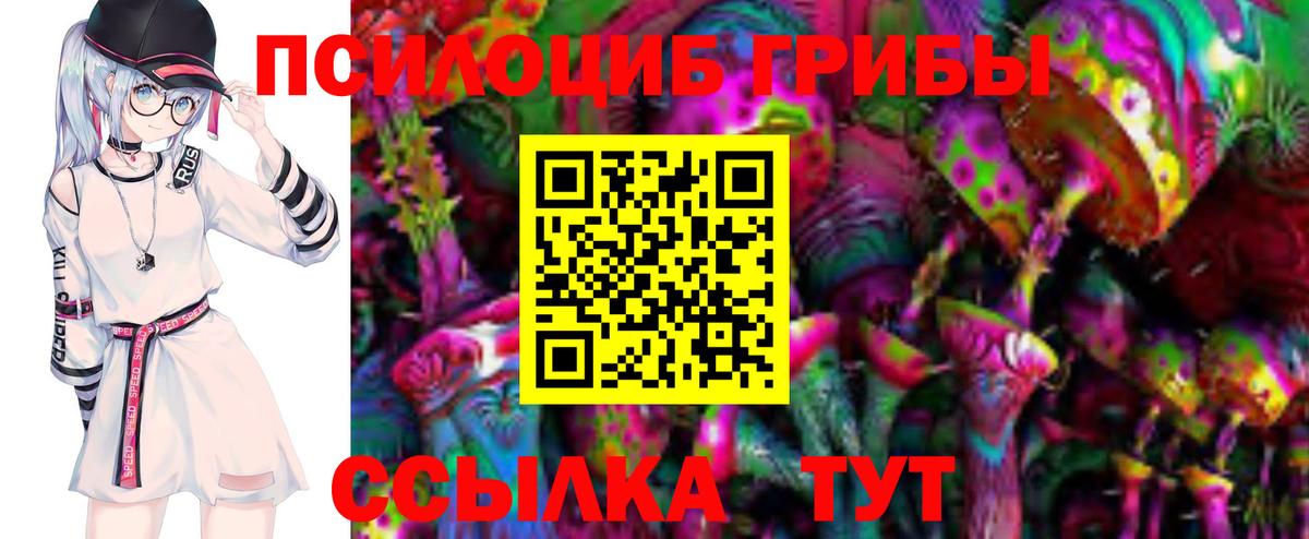 Галлюциногенные грибы мицелий Узловая